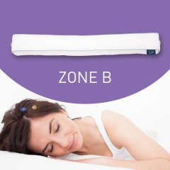 Mr.Z Free-form Pillow Zone B